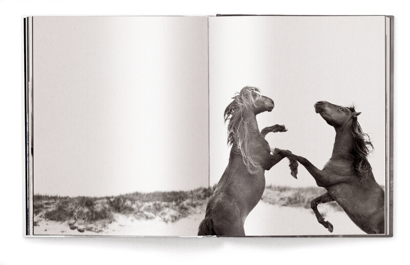 Horses by Derry Moore – Hardcover Photography Book