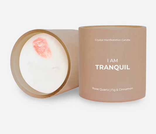 JILL AND ALLY 14oz Tranquil Candle with Rose Quartz Crystal – Fig & Cinnamon